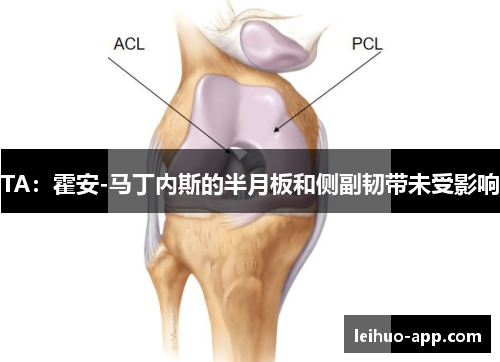 TA：霍安-马丁内斯的半月板和侧副韧带未受影响